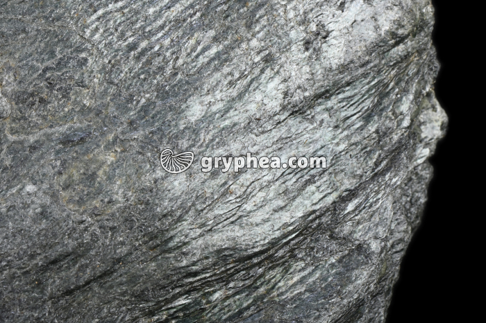 Schiste à séricite - détail (Zermatt, Suisse) - gryphea.com